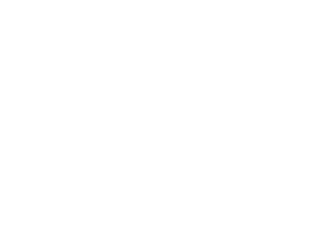 BirdDog