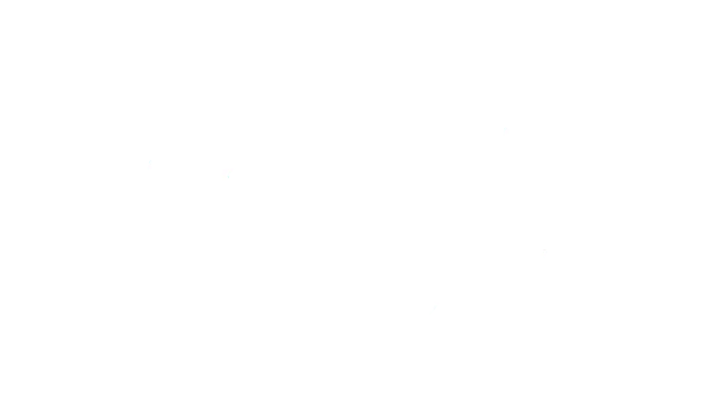 DJI