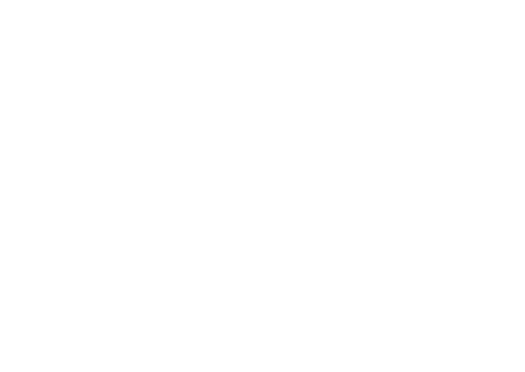 PTZOptics