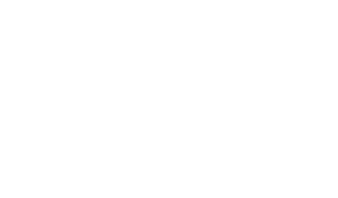 Z-Cam